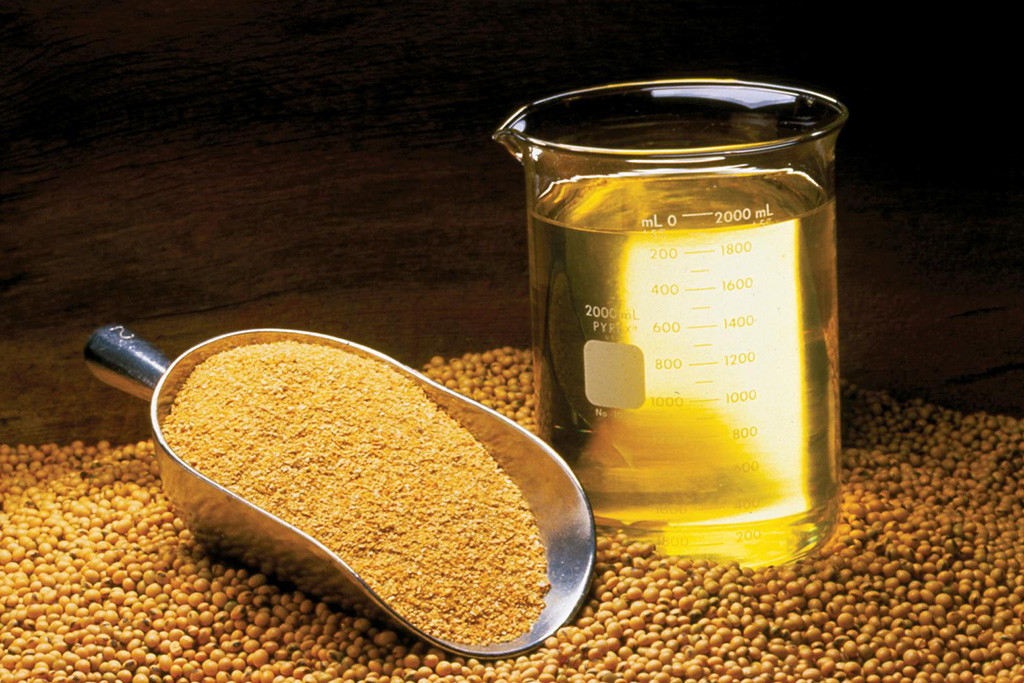 Soybean Oil